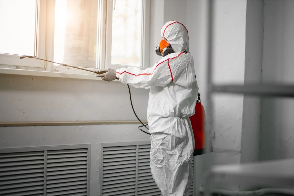 Professional mold remediation services in Long Branch, NJ